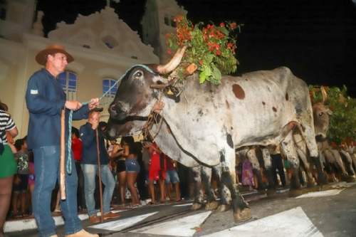 Cortada do Mastro de São Benedito 2024